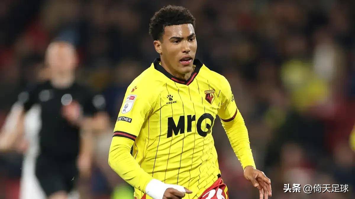 PG电子娱乐官网下载-利兹联连胜告终，遭遇纽卡斯尔绝杀