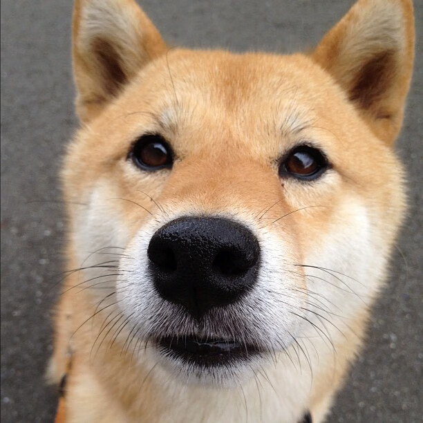 PG电子娱乐在线-绿茵场上的双重奏，西甲德比的艺术与英格兰的务实胜利