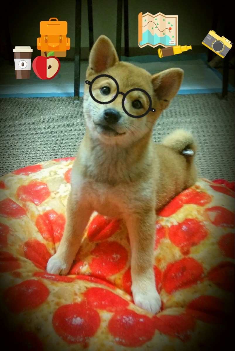 PG Soft Gaming-楚阿梅尼的攻防统治，阿根廷如何精准击穿西班牙的战术体系