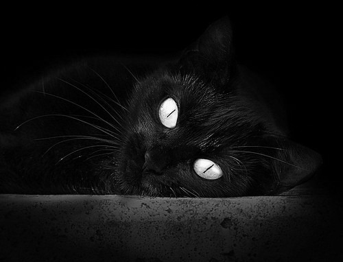 PG电子娱乐官网-穆勒爆发破僵局，委内瑞拉连续得分压制比利时—南美新星的战术启示