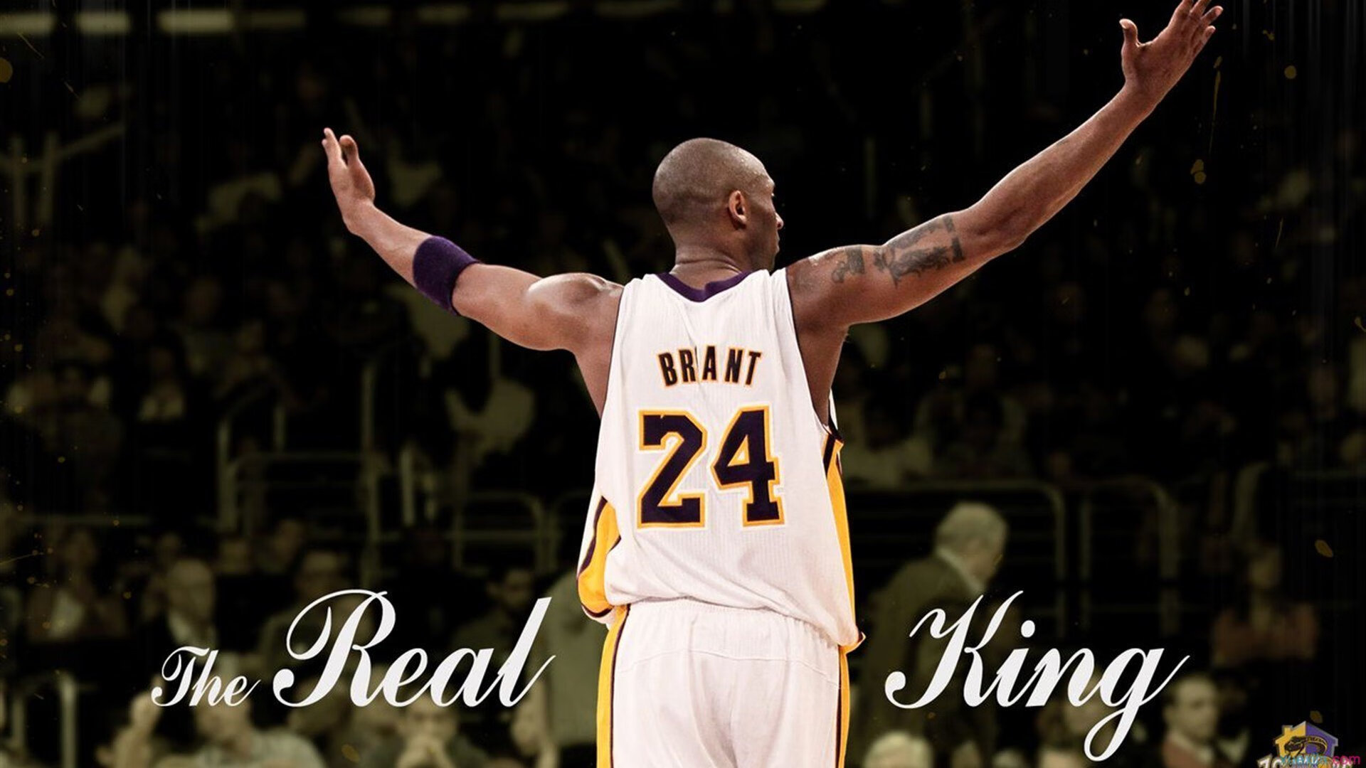 PG游戏下载-戈贝尔进攻端无人可挡，广东队横扫国王，当防守铁闸变身进攻核武